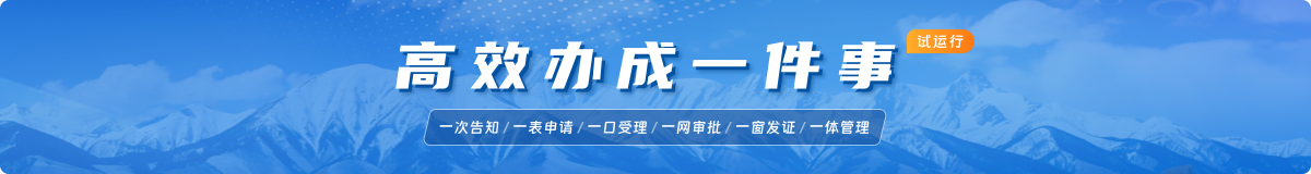 高效办成一件事