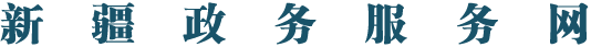 新疆政务服务网